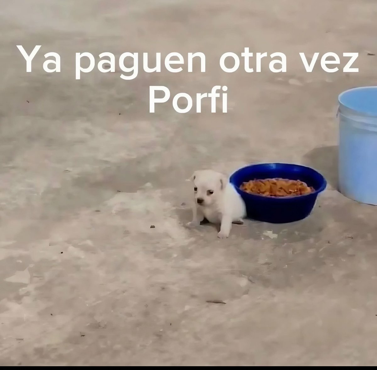 En Júpiter (@en_jupiter_) on Twitter photo 