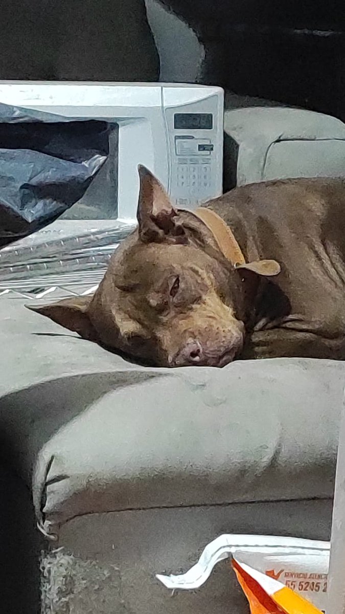 Fernanda Tapia‏ tweet media