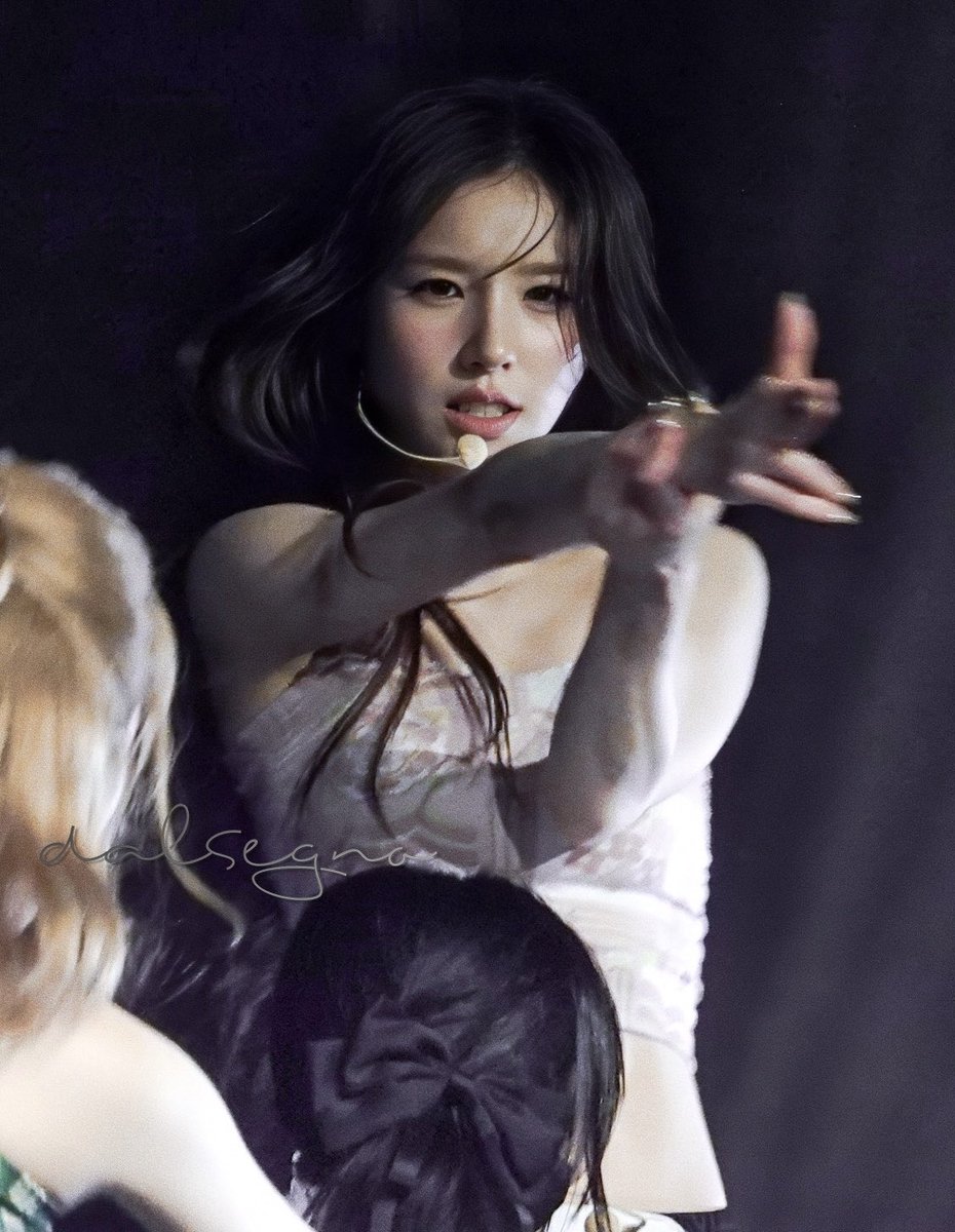 dalsegno tweet media