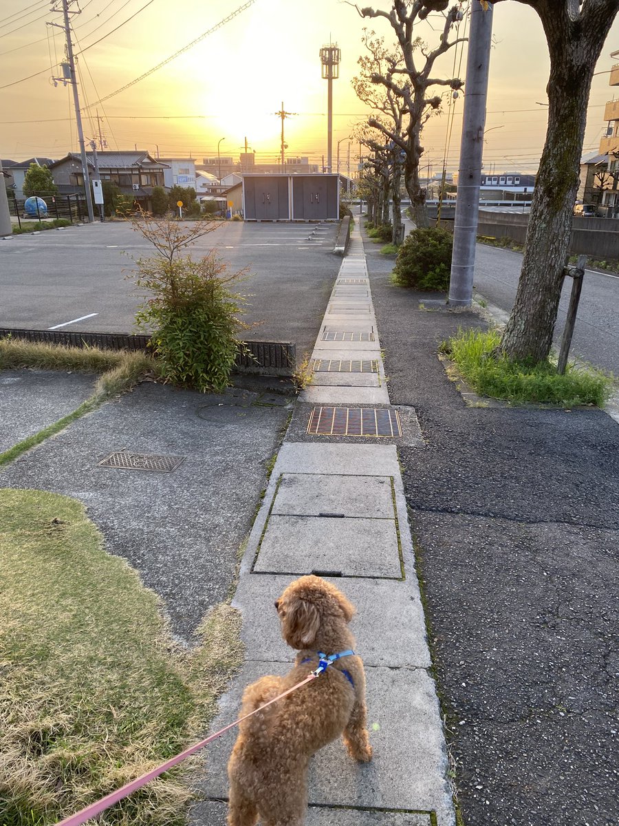 ちい🐌 tweet media