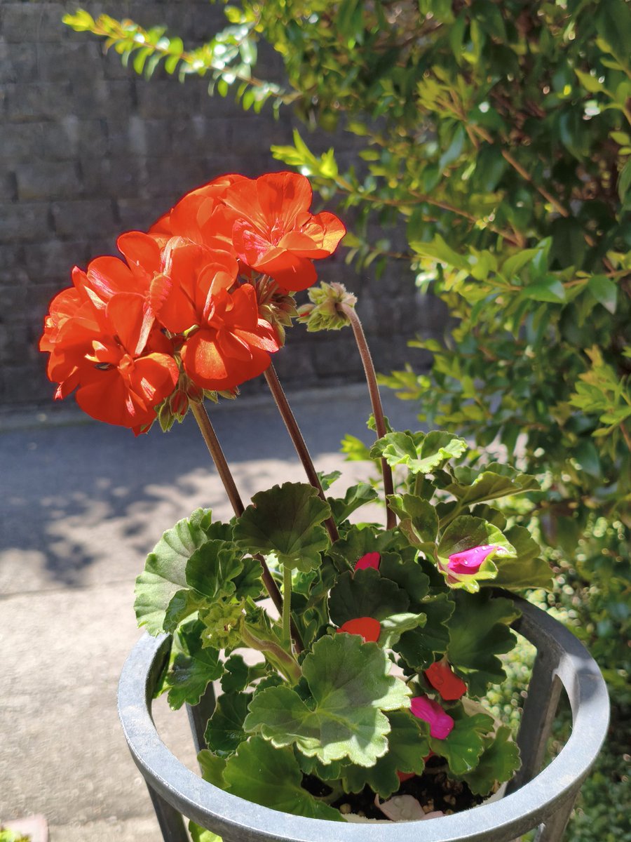 濱ちゃん🤣 tweet media