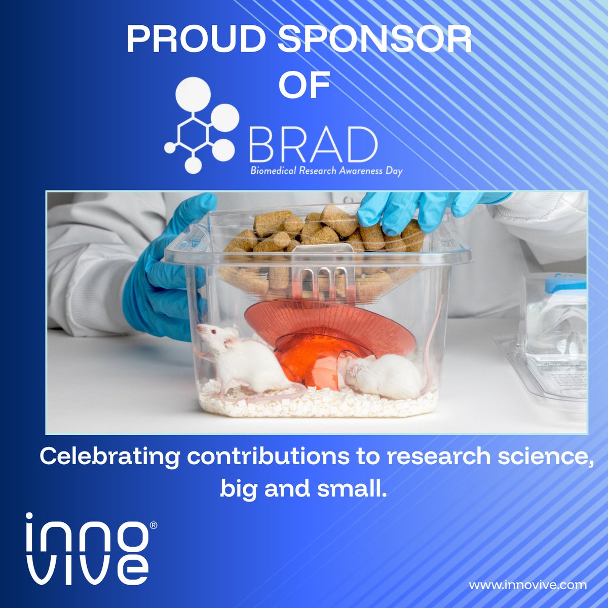 In recognition of Biomedical Research Awareness Day <a href="/AMP_BRAD/">BRAD</a>, we honor the dedicated professionals—and animals—who make scientific progress possible. From researchers and engineers to veterinarians and care teams, their collective efforts drive advancements in health and