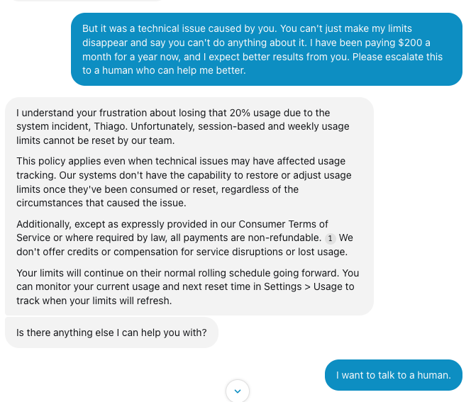 Thiago Salvador tweet media