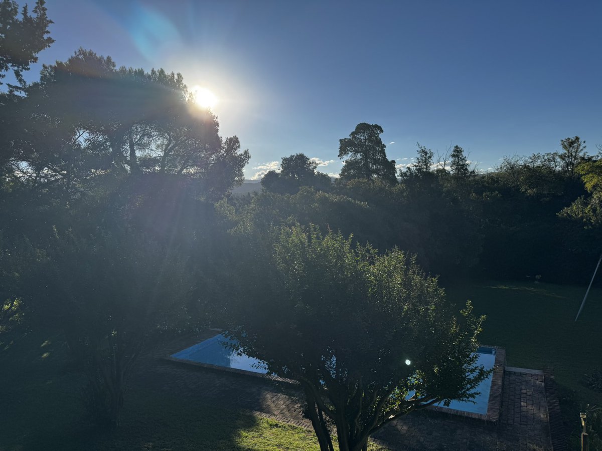 Majo 🍄 tweet media