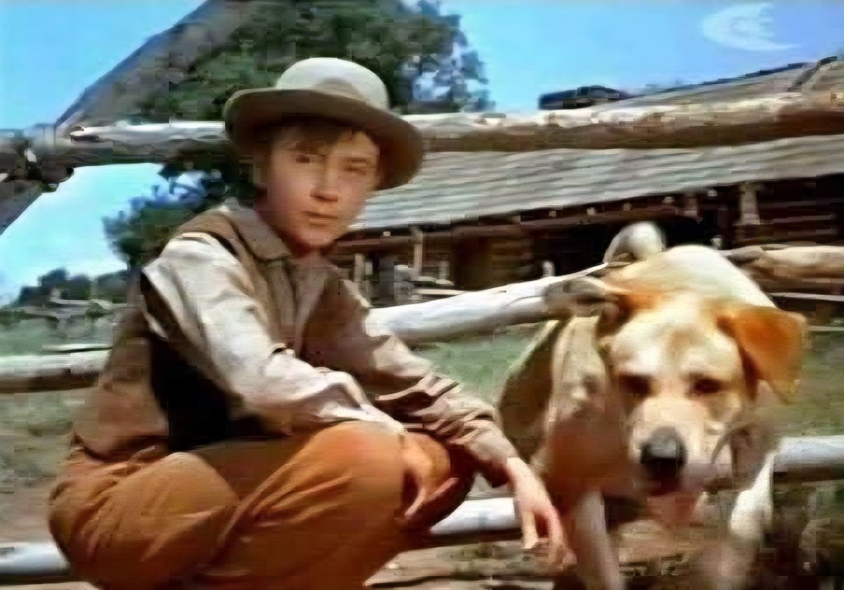 Johnny Cadillac tweet media