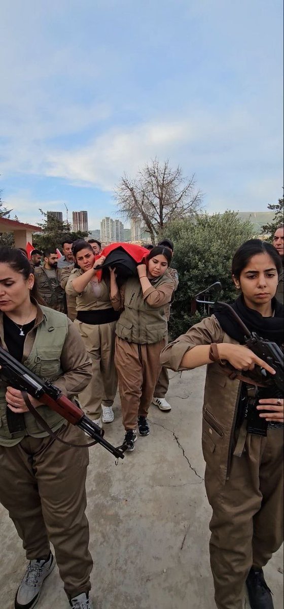 Amjad Hossein Panahi tweet media