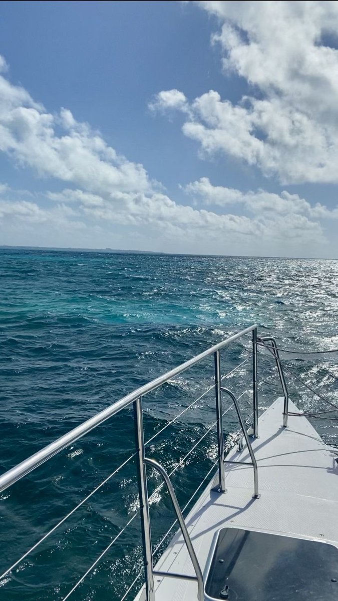 kwan (🇺🇸) tweet media