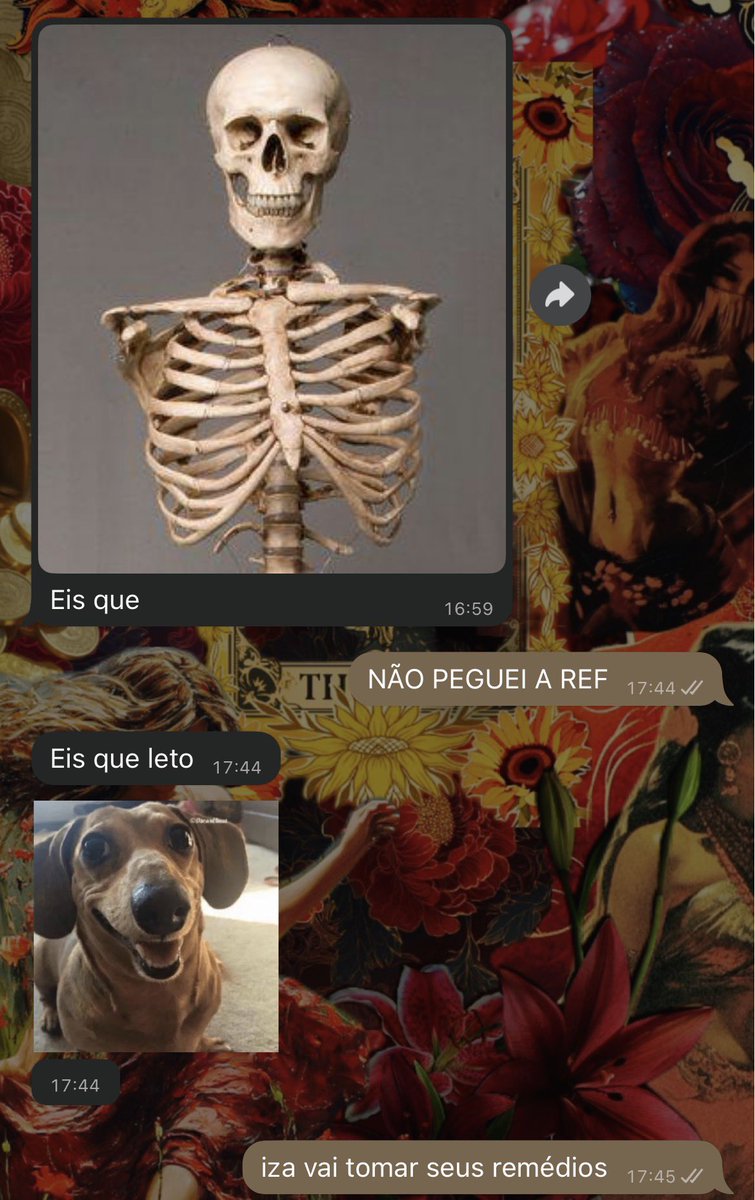 Sol. ⚢ tweet media