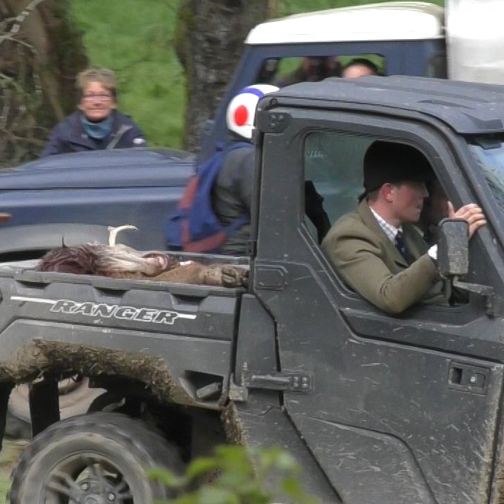 North Dorset Hunt Saboteurs tweet media