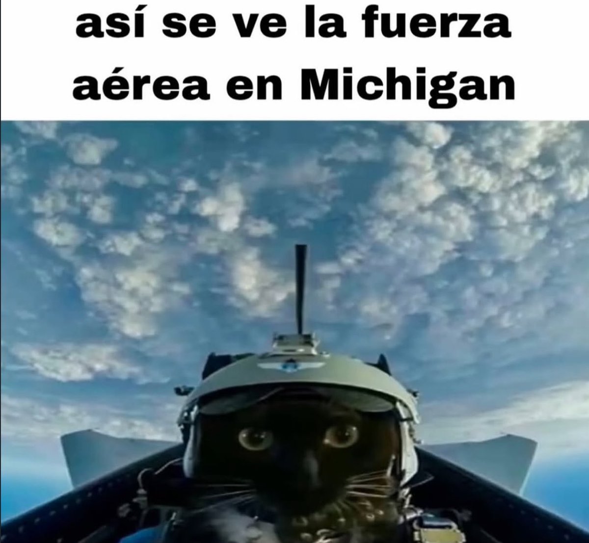 piña sin pizza (@skereunpesado) on Twitter photo 