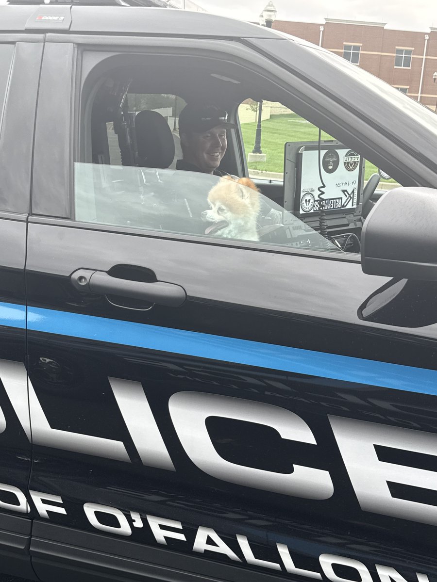 OFallonPolice's tweet image. Our officers responded to a call about this cutie found wandering without a collar. 

He enjoyed the ride back to PD....

Officers scanned for a microchip and within minutes, we were able to contact the owner. 

A great reminder of how important it is to microchip your pets!