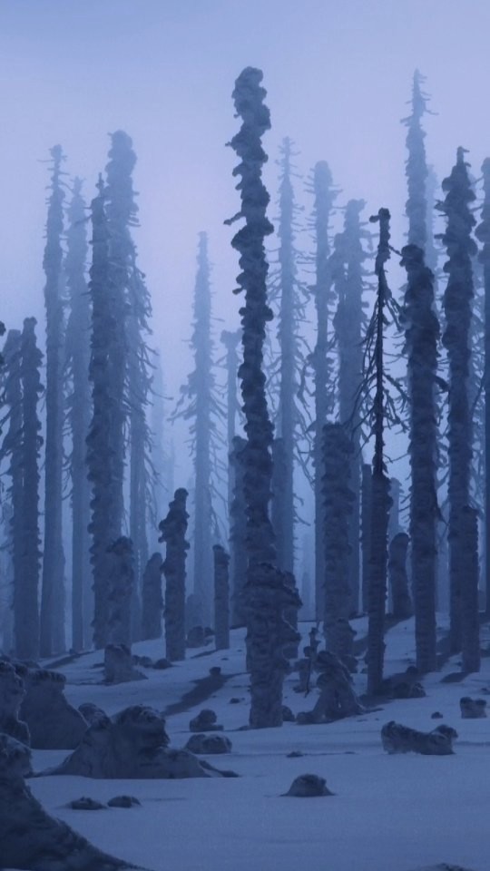 De Block tweet media