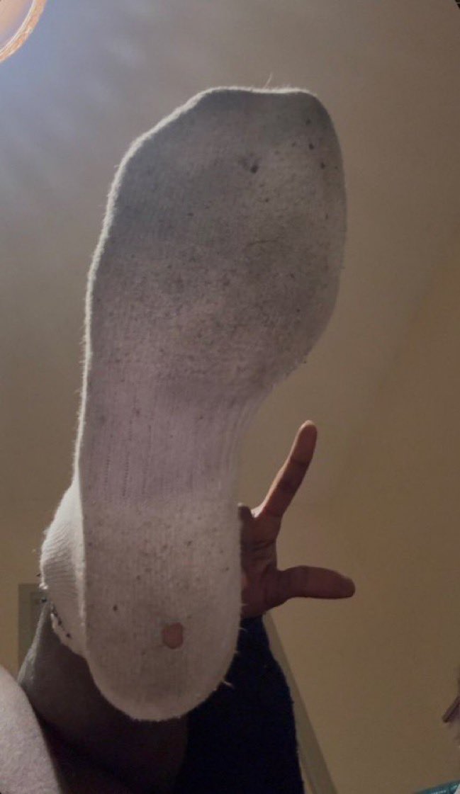 😈Reine Lea👑 tweet media