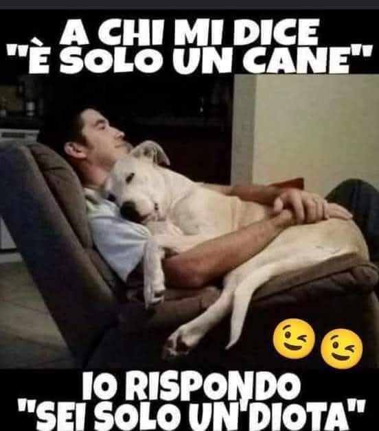 Patrizia💙 tweet media