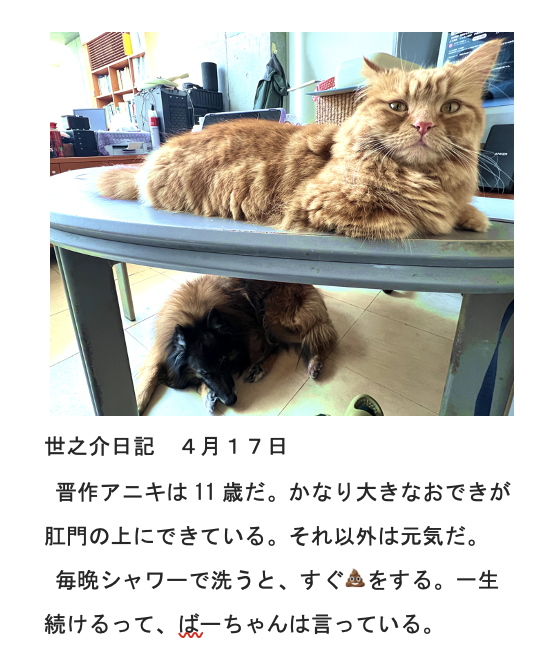 coputa🇯🇵 tweet media