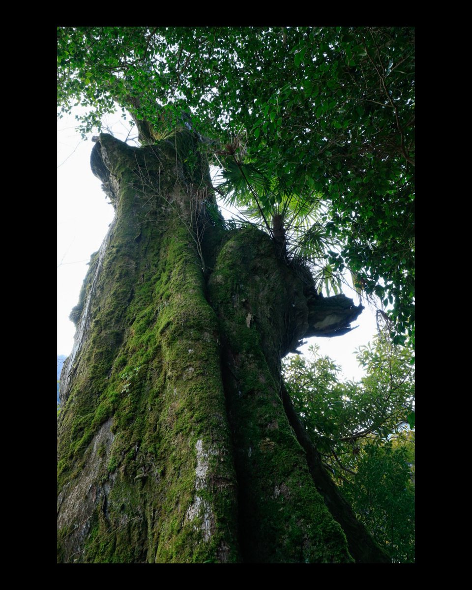 soichiro kishimoto (@soichirokishim1) on Twitter photo 