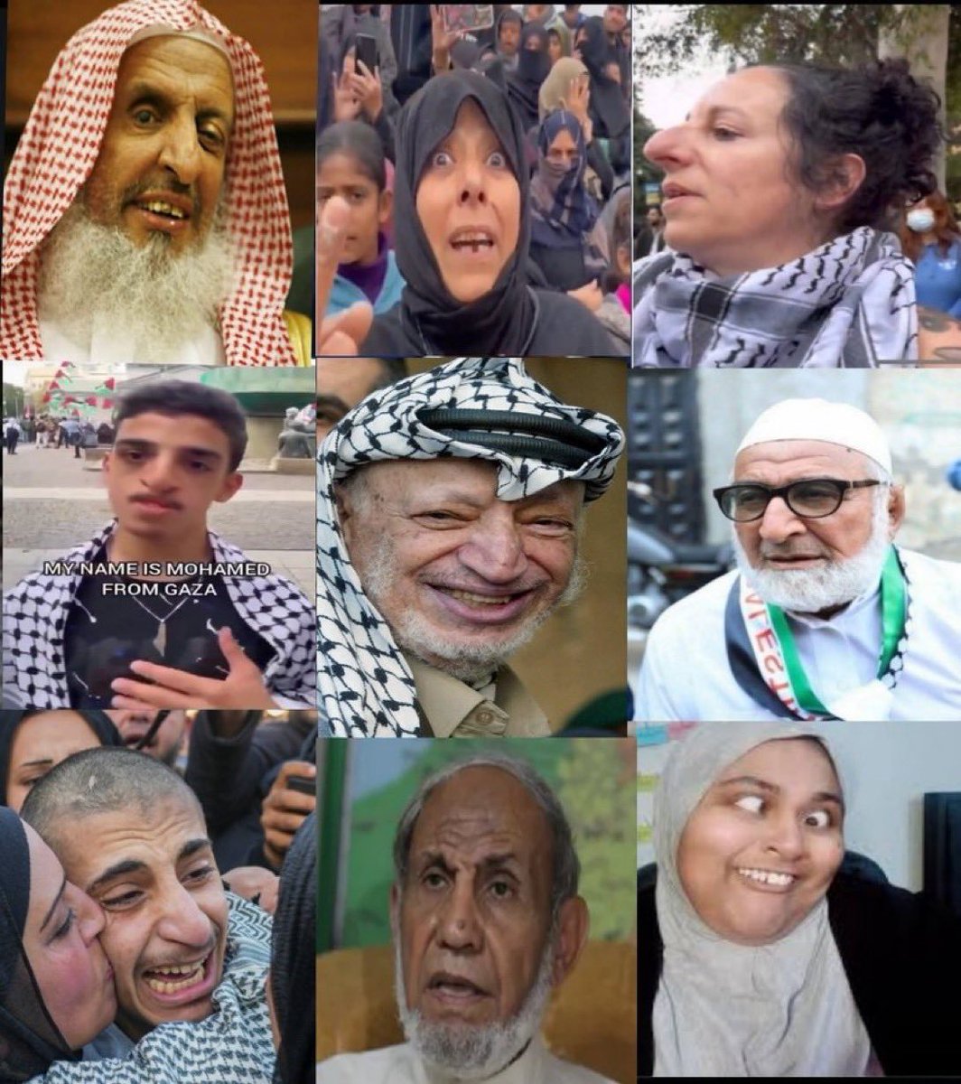 Adin - عدین - עדין tweet media