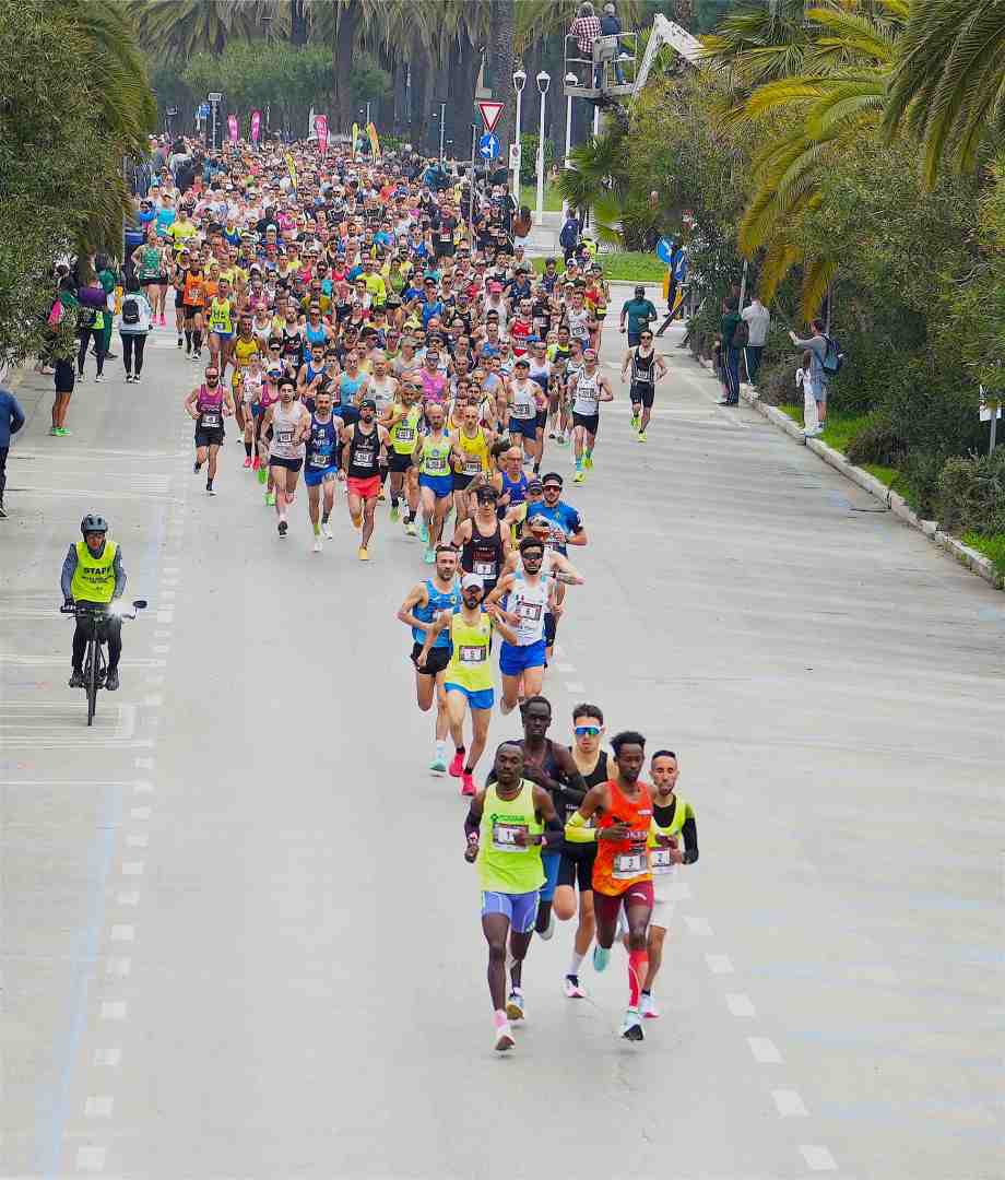 Il Mascalzone tweet media