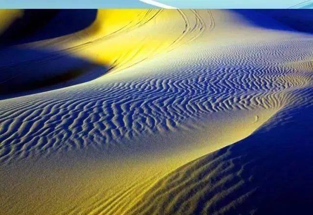 後田 洋佑 tweet media