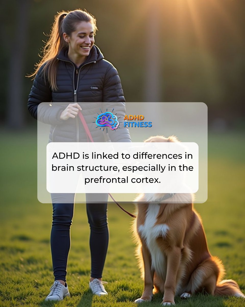 fitness_adhd's tweet image. ADHD brains are wired differently, especially in areas controlling focus and decisions. #ADHD #BrainHealth #MentalHealth #Science #Awareness