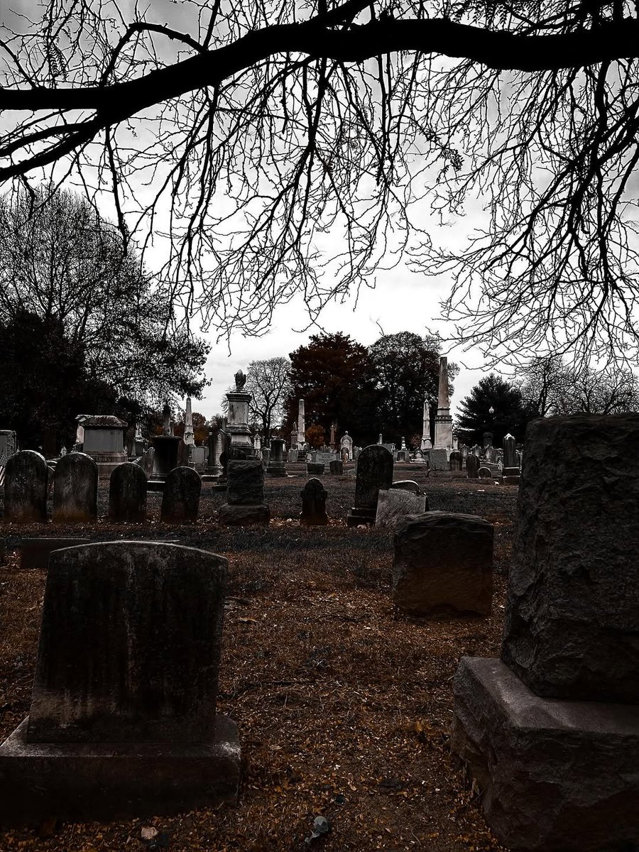 𝖁𝖆𝖒𝖕𝖞𝖗𝖎𝖆 𓋹 tweet media