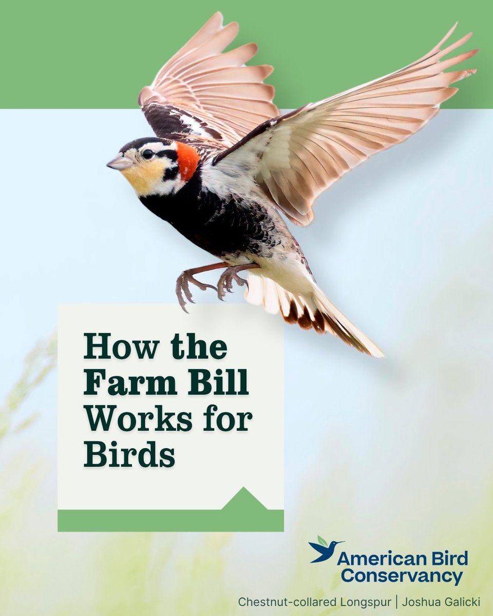 American Bird Conservancy tweet media