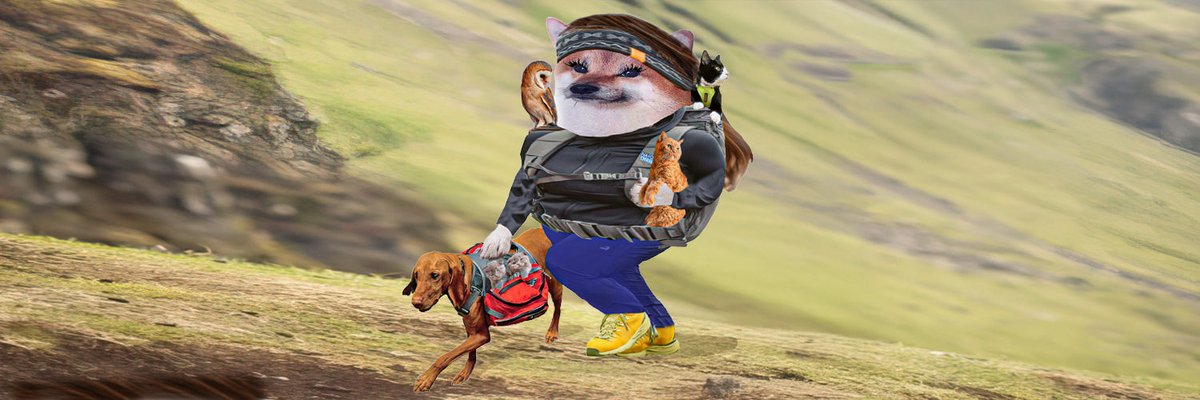 Be Kind 🇺🇦💙 tweet media