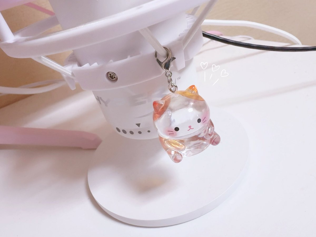 はむ@猫 tweet media