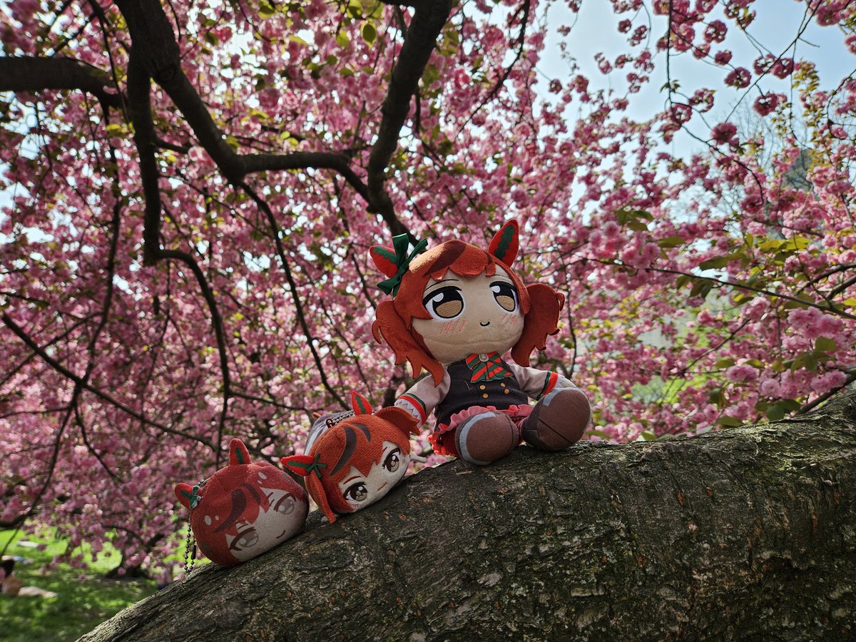 Pie update of the day: A nice stroll around Central Park with the birthday girl(s)! The cherry blossom path was lovely. Have a great rest of your day.