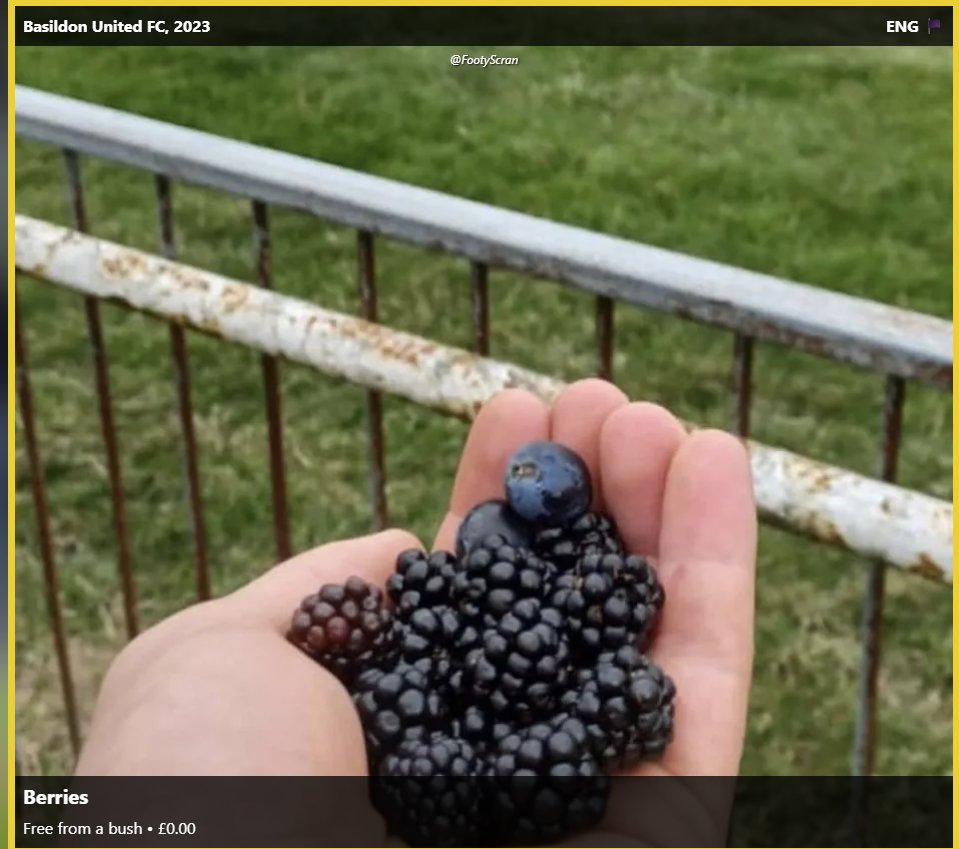 tang 🍉 tweet media