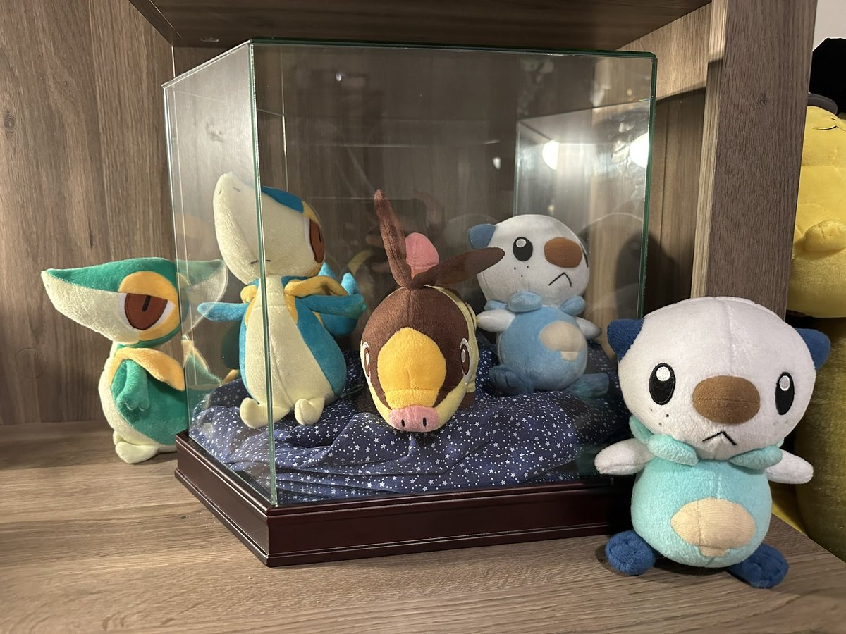 pokelover685's tweet photo. my shiny Snivy, Tepig, and Oshawott plushies. Takara Tomy only made 1,000 and they were given as lottery prizes in Japan back in 2012!

#pokemon #shinypokemon #pokemonplush #snivy #tepig #oshawott https://t.co/LRePwptTCi