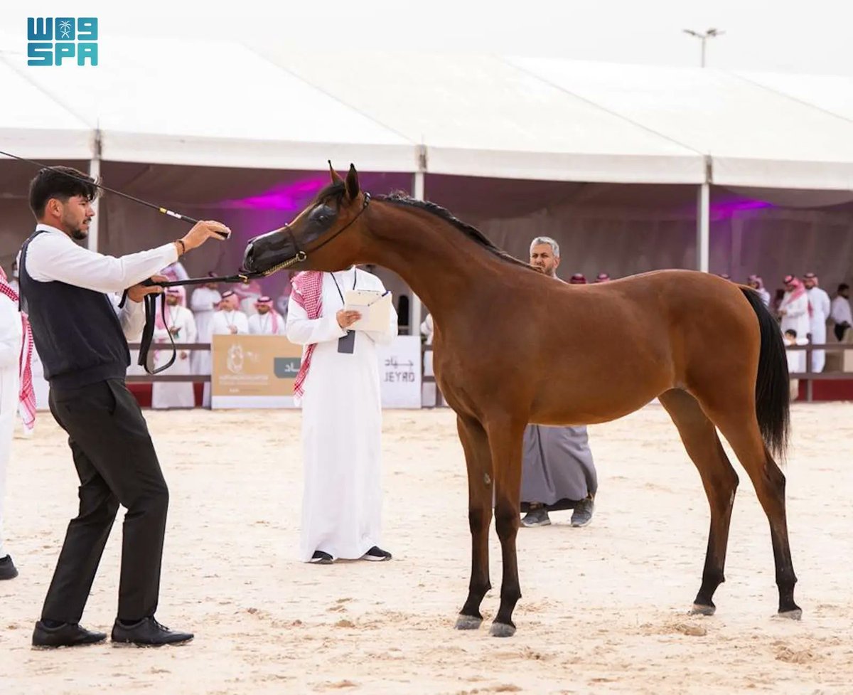 واس الرياضي tweet media