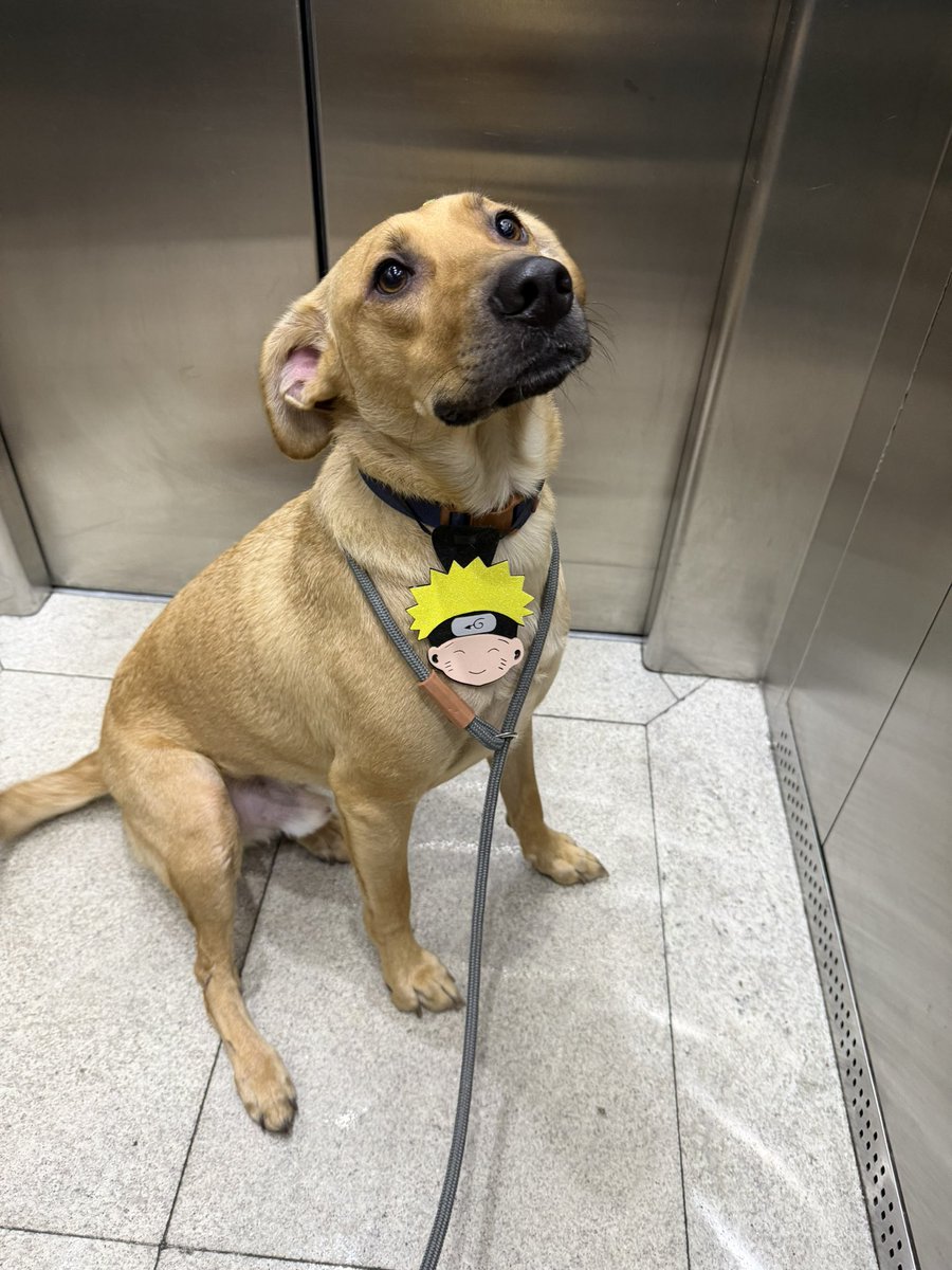 RED lau 2x tweet media