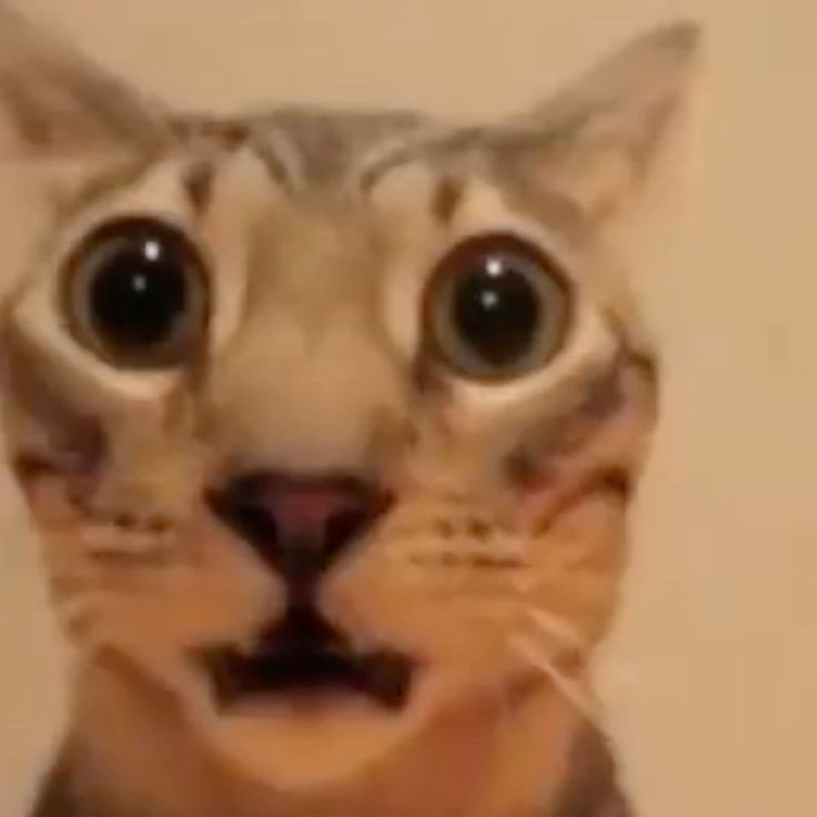 Lee 물.com.kr tweet media