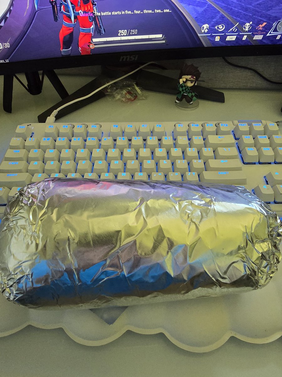 PaperHakusho's tweet photo. Who makes a burrito this big 

Over under 2 bites? https://t.co/9AJ5Gmx8pY