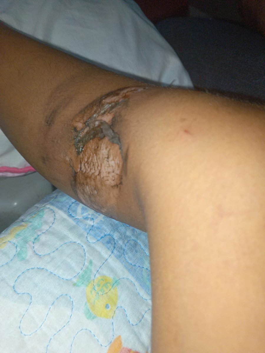 María Carola tweet media