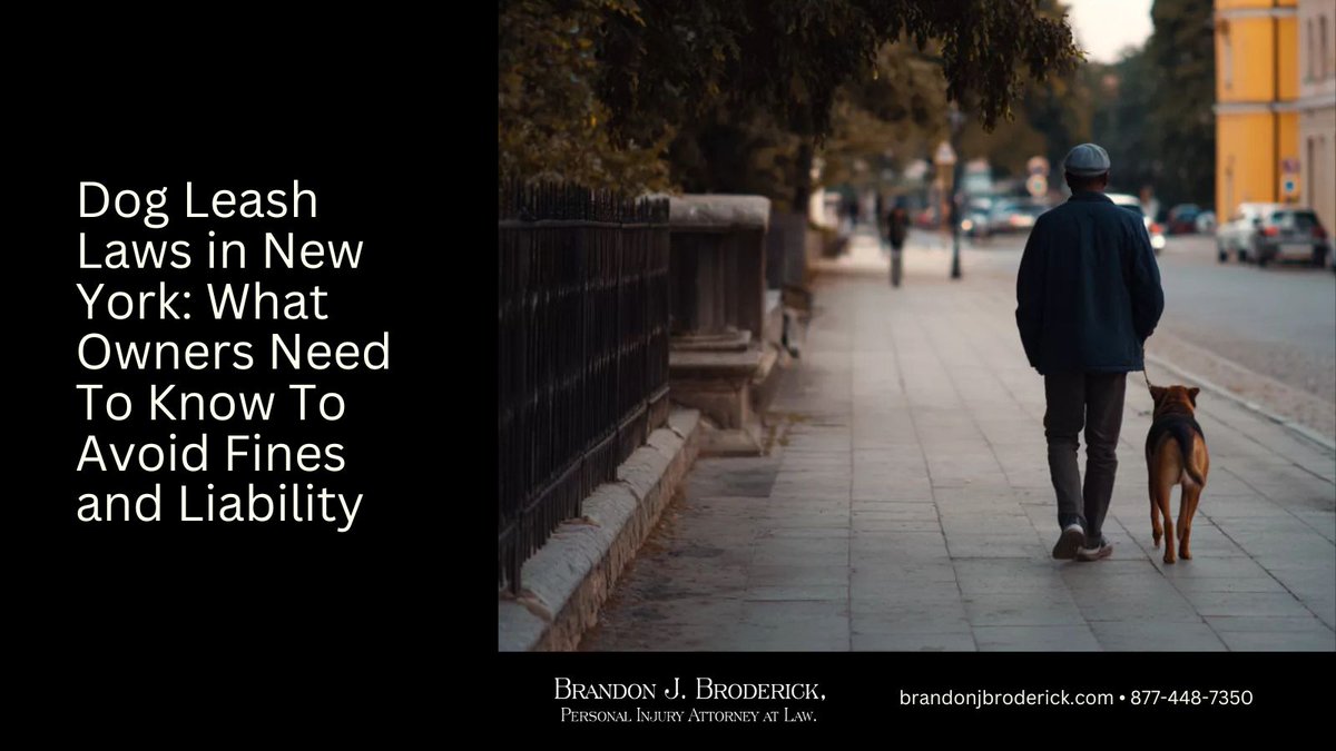 bjbroderick's tweet image. New York leash laws matter 🐕⚖️ One loose walk can mean fines or liability 💸😬 Know the rules and protect your pup 🏙️🐾 Stay informed before you go 🚶‍♂️🐕‍🦺 tinyurl.com/3wjv3unt
 
#DogOwners #NewYorkLaw #PetSafety #LeashLaw #LegalTips