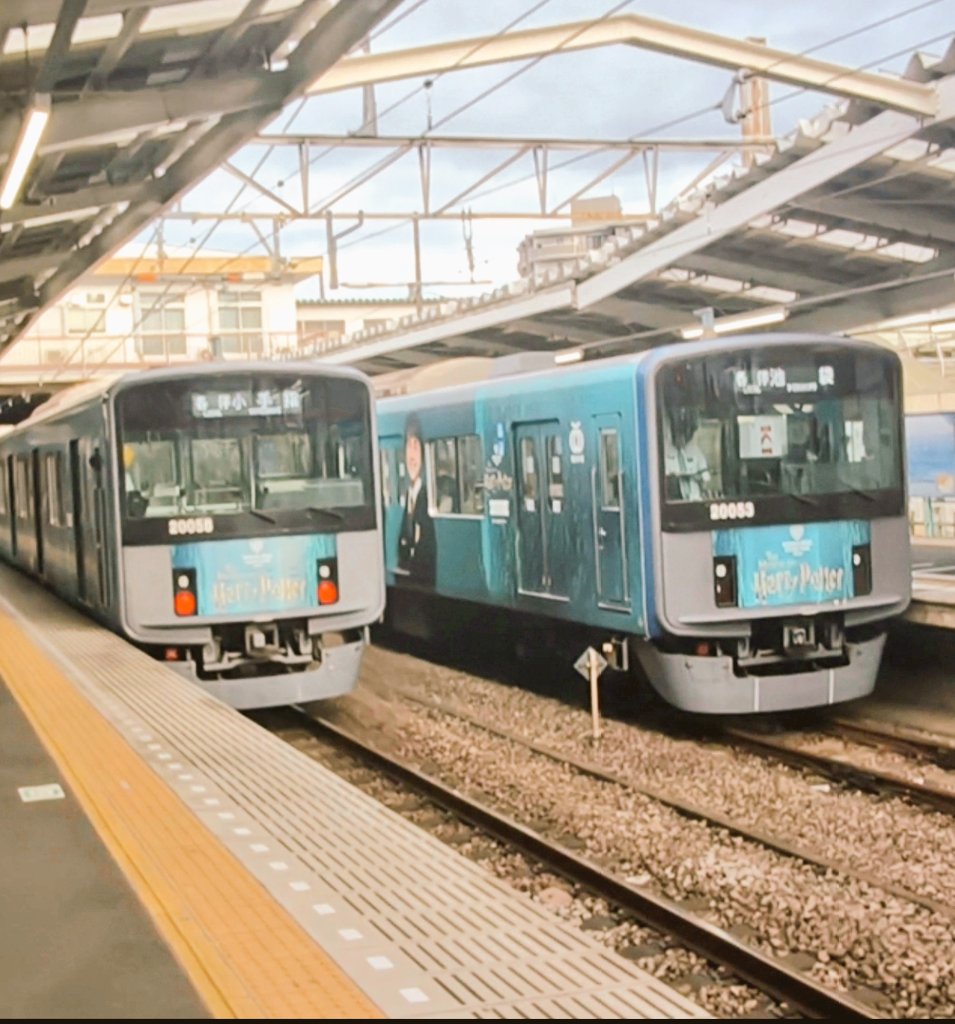 ノンビンアンチュウ tweet media