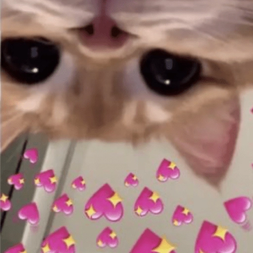 yaguitu 🌈 tweet media