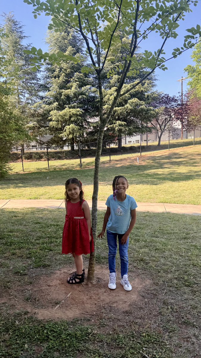 SterlingElemen1's tweet photo. Kindergarten is enjoying trees and branching into new learning in Module 4 🌳💚 @CharMeckSchools  @ELeducation  #sterlingpride🐯  #Crew89 #Kindergarten #LevelUP⬆️ https://t.co/XB6MoXaCSC