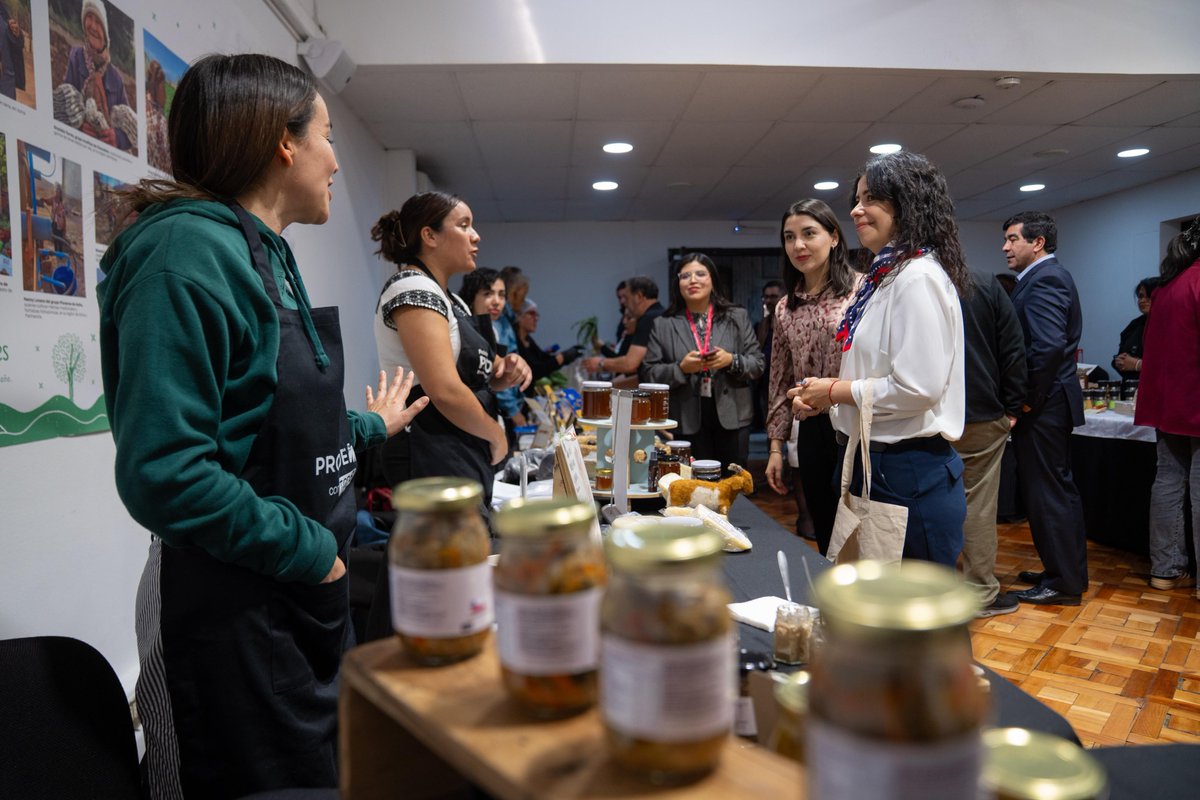 PRODEMU's tweet photo. Hoy realizamos una nueva edición del #MercaditoProdemu en la Dirección Nacional 💜

En el marco del Día del Emprendimiento, 9 emprendedoras de la RM ofrecieron productos naturales y de elaboración propia, promoviendo comercio justo y autonomía económica.
🗞️https://t.co/sdupMqnx3Q https://t.co/AA711ZNfOu