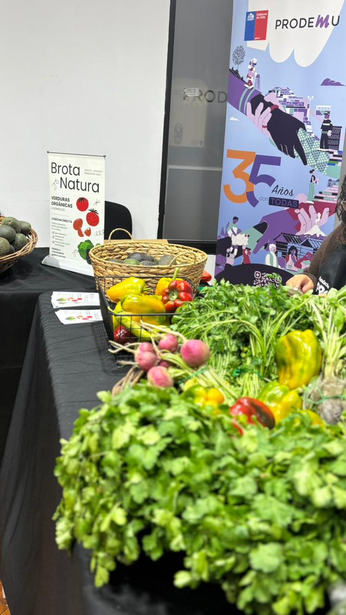 PRODEMU's tweet photo. Hoy realizamos una nueva edición del #MercaditoProdemu en la Dirección Nacional 💜

En el marco del Día del Emprendimiento, 9 emprendedoras de la RM ofrecieron productos naturales y de elaboración propia, promoviendo comercio justo y autonomía económica.
🗞️https://t.co/sdupMqnx3Q https://t.co/AA711ZNfOu