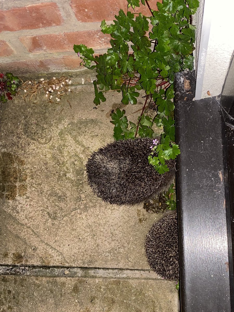 Martin Williamson tweet media