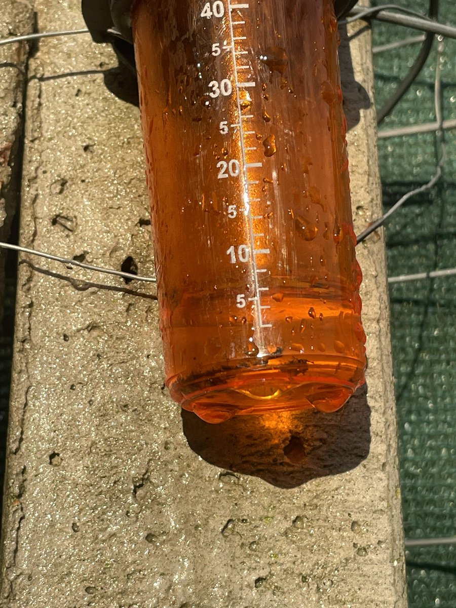 Fabia Fernandez tweet media