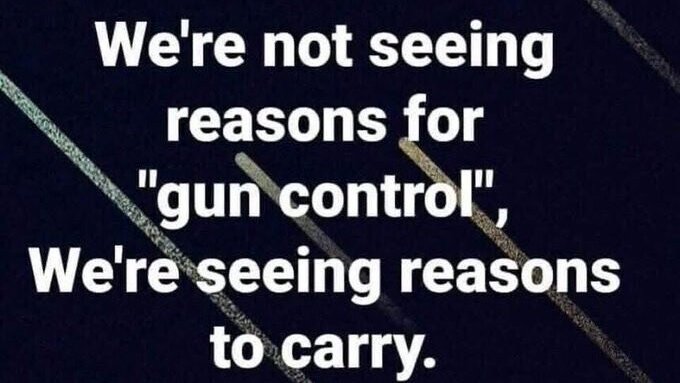 Trumplicans2024.com tweet media