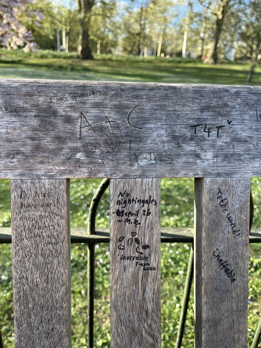 marina🪽 tweet media