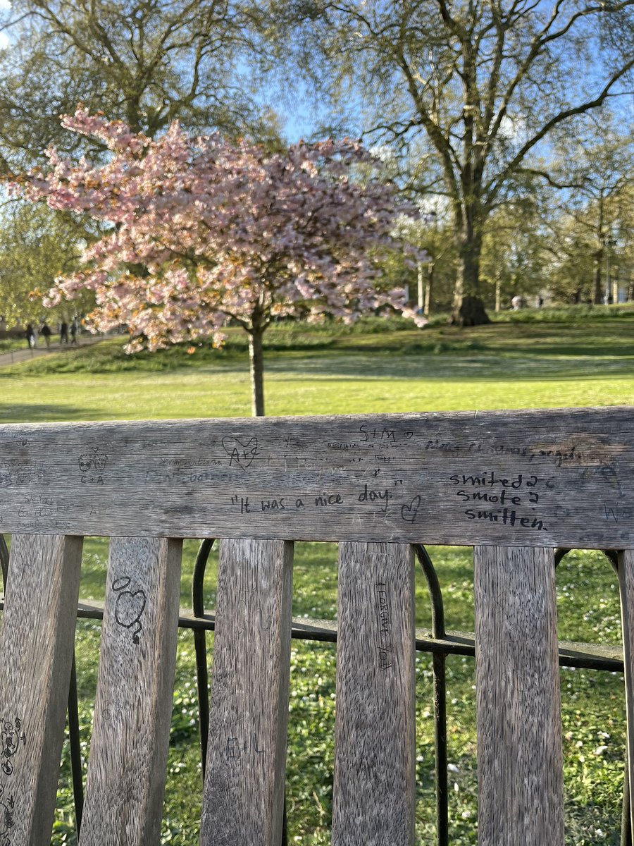 marina🪽 tweet media