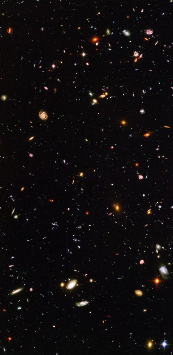 "Árboles":
Porque la Tierra es el único planeta conocido que tiene árboles, lo que hace que la madera sea potencialmente más rara que los diamantes a escala universal.