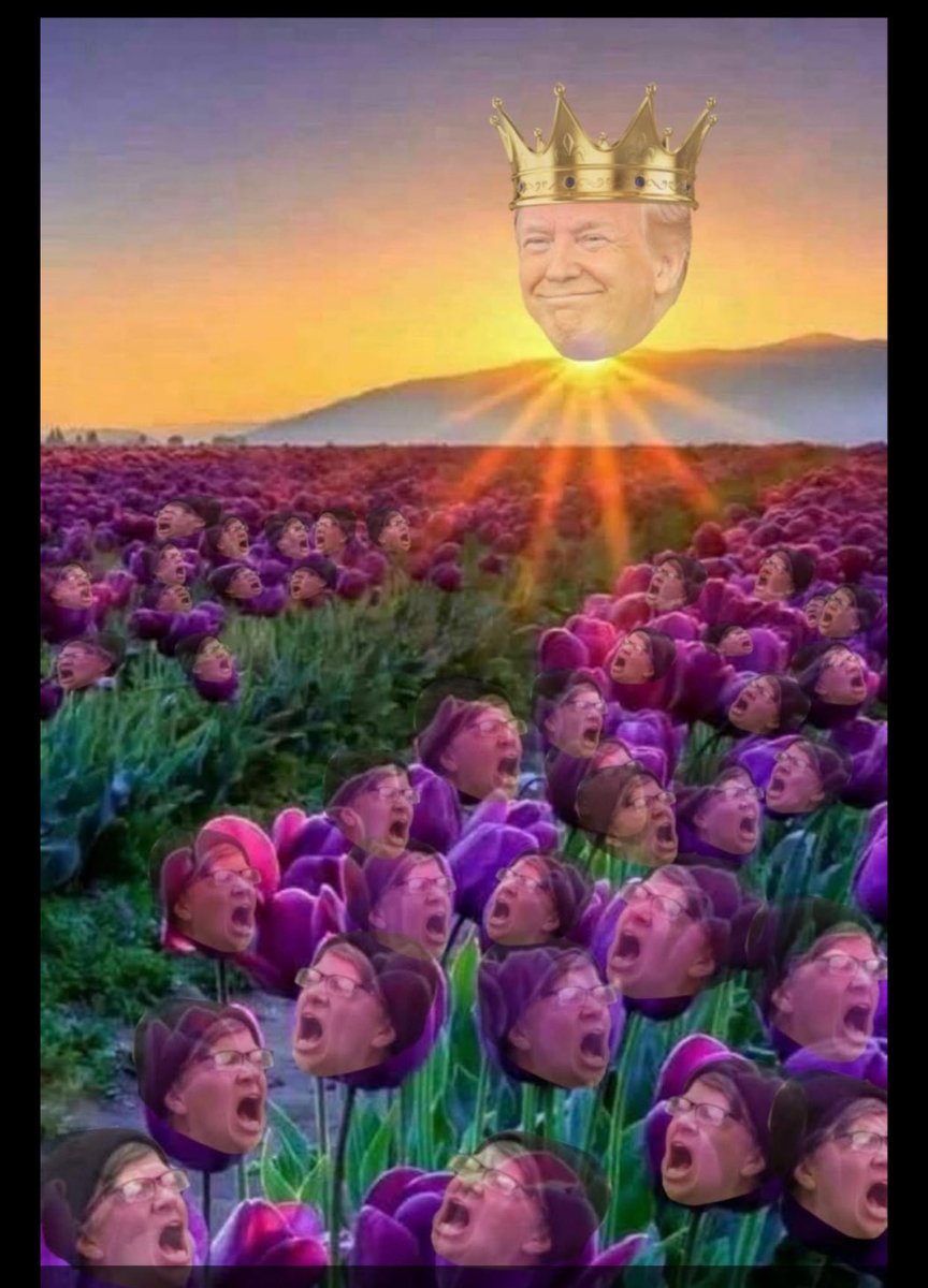 Randall Tracy tweet media