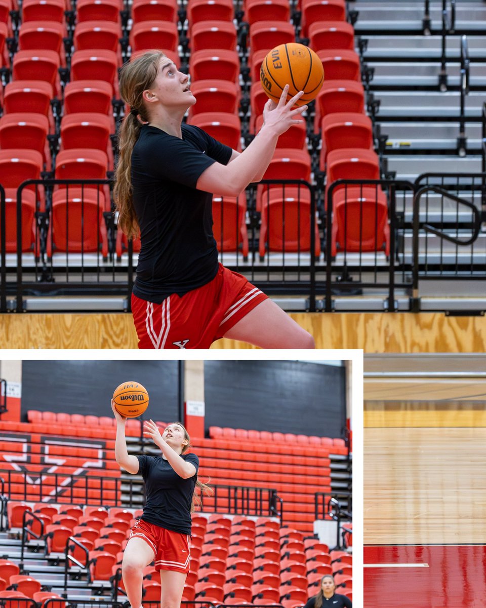 Youngstown State WBB🐧 tweet media